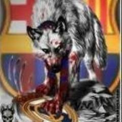 edu_makina's profile picture. 