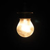 Lama Alsamnan (@lamaalsamnan) Twitter profile photo