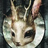 The profile image of picon0501