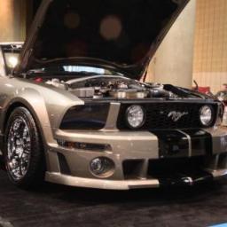 MustangRecambio's profile picture. 