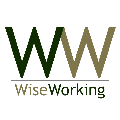 wiseworking's profile picture. Enabling meaningful and purposeful work and careers!