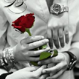 تحـــلــى الحيــــاه بــذكـــر الـــله