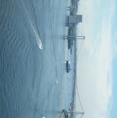 fantasticzaizen's profile picture. 