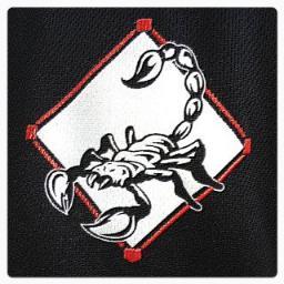 BCScorpions's profile picture. The ballplayer who loses his head, who can't keep his cool, is worse than no ballplayer at all. -Lou Gehrig