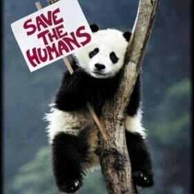 STH84's profile picture. The is always an explanation, if you seek it.