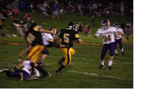 steveloise's profile picture. 