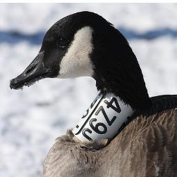 pbk1820's profile picture. 