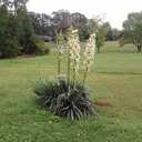 sharon kidd - @kiddsharon51 - Twitter