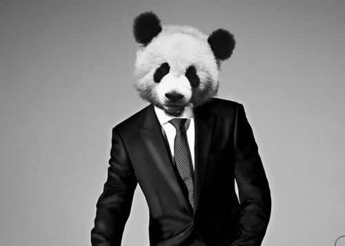 Ramonelnotas's profile picture. Y si no quiero, ¿Qué?