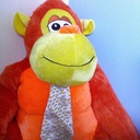 David the orangutan - @ConnorRead7 - Twitter