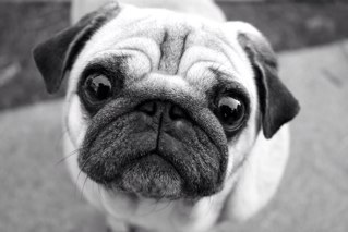 suecaine63's profile picture. 