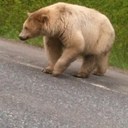 Sydney England - @sengland95 - Twitter