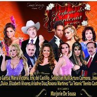 Tere Ocampo RP (@tereocamporp) 's Twitter Profile