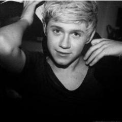 niiallhoran122's profile picture. 