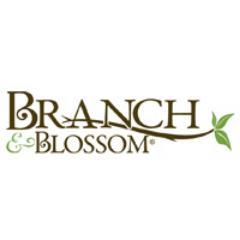 All Natural, Healthy Candles & Body Products! http://t.co/CNaEf2Oz