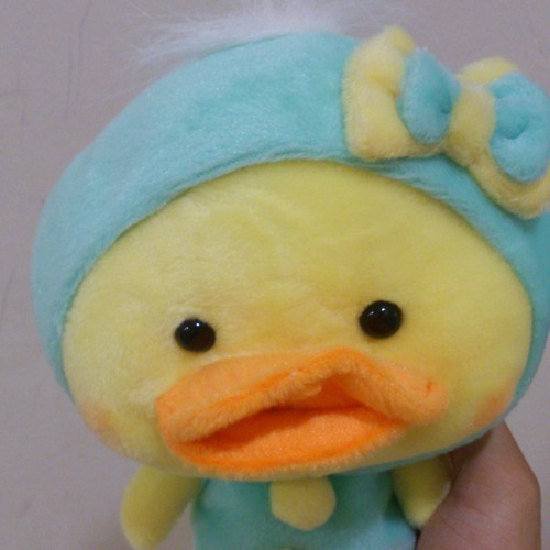 risezhang's profile picture. 