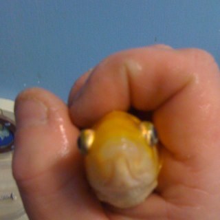 N_U_T_T_'s profile picture. 