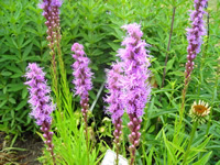 OhioTourism's profile picture. For event updates follow @Ohio_Tourism