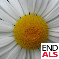 AprilAlsobrook's profile picture. I enjoy photography, crochet and pet sitting. I also participate in the Walk to Defeat ALS, http://t.co/yR5DSpIQ