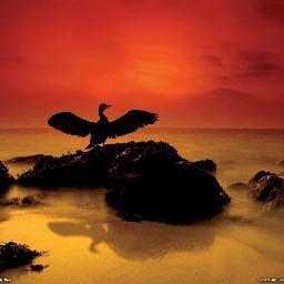 ElizabethWarfel's profile picture. Loving God and Learning and Teaching every day.