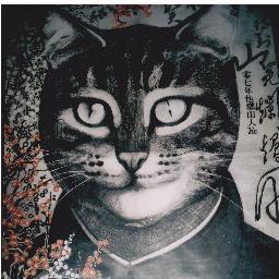 harrietsrose's profile picture. 