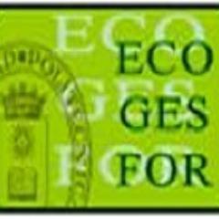 ECOGESFOR Profile Picture