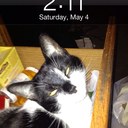 Verna Young - @VernaYoung - Twitter