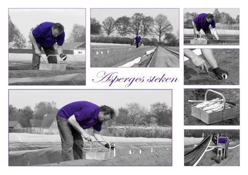 Moeder van Daan, Bente*, Marret*, Krijn en Ward. Samen met man René eigenaar van Tuinderij 't Tuureind.