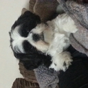 bev devlin - @beverley_devlin - Twitter