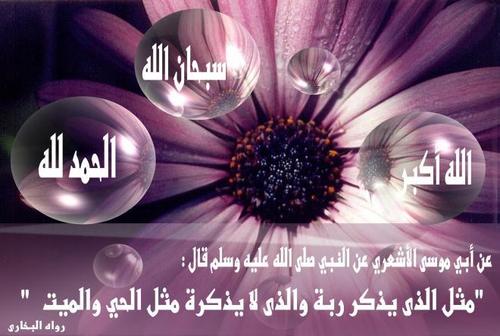 ‏‏‏قال رسول الله ﷺ
“
مثلُ الَّذي يذكُرُ ربَّه والَّذي لا يذكُرُ ربَّه مثلُ الحيِّ والميِّتِ
“
صحيح البخاري