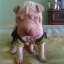 GUIANDOME HACIA TI