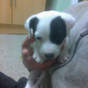 ALISON BUCKLEY - @MAMABUK - Twitter