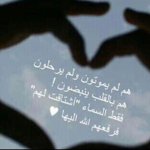 لدي عشق للقراءة وكل تغريداتي لا تعبر عن حالتي المزاجية بل مجرد سطور أعجبتني وحياتي لا تنطرح أمام انظار الجميع والفولو حرية شخصية ♥