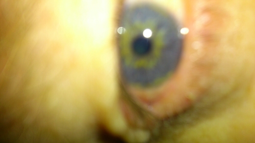 mindeye1984's profile picture. I can see your soul