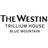 WestinBlueMtn's profile image