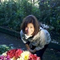 Donna Reisinger - @DonnadeeeR Twitter Profile Photo