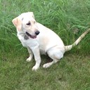 Joni Hoffman - @JKHoffman4 - Twitter