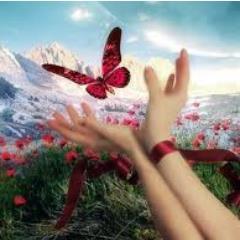 angelamsp's profile picture. 