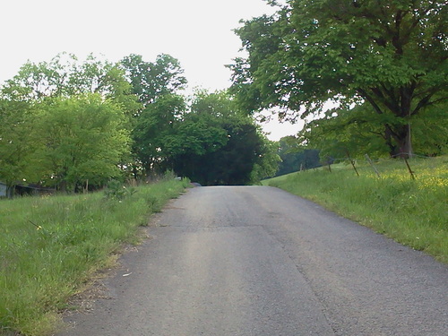 bookwyrm176's profile picture. 