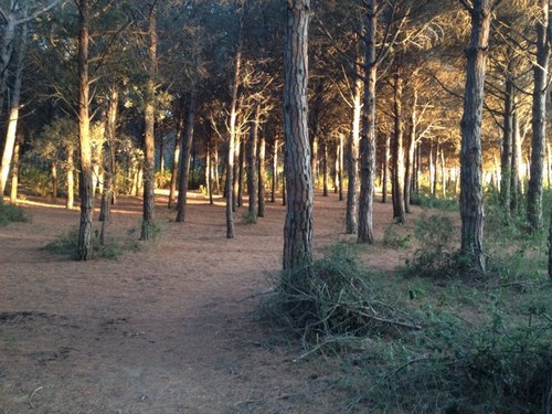 fredericbos's profile picture. 