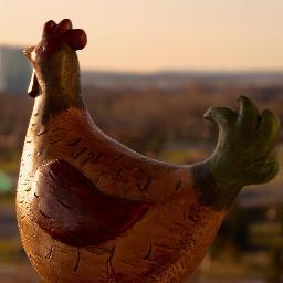 sojobius's profile picture. nova scotian abroad