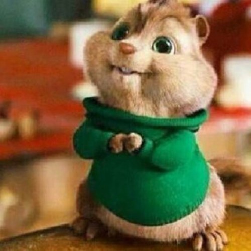 Theodore Thechipmunktheo Twitter 