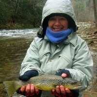 Vicki (@scvic_travels) 's Twitter Profile Photo Vicki (@scvic_travels) 's Twitter Profile Photo