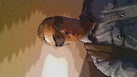 XaviBeudeker's profile picture. Frequent Flyer instagram: xavibeudeker