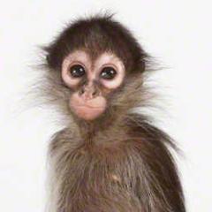 PilarPerez2000's profile picture. A tiny speck in the universe, trying to make a change in my little corner of the world. The sound of my niece's laughter overwhelms me.