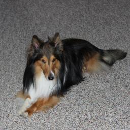 roxiekay's profile picture. 