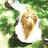 marts_1's profile image