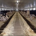 Jay_Bartels - @_JayBartels - Twitter