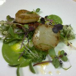 Chef, Nature Lover and Clean Eating Enthusiast