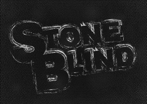 stone blind book review stone blind book review